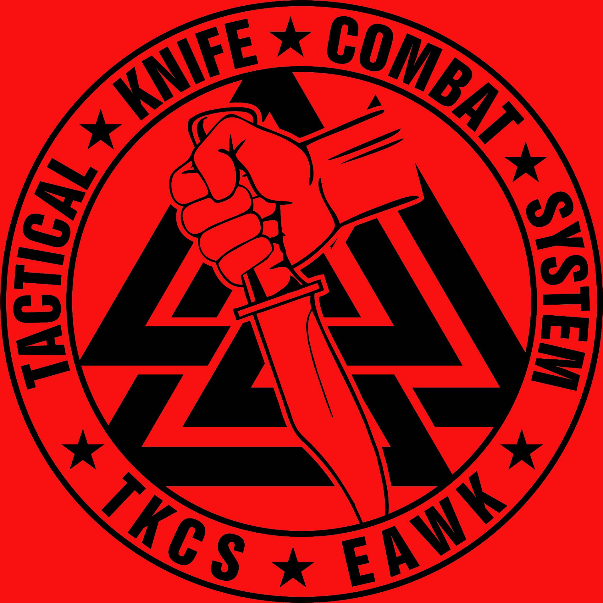 Weapon Combat System